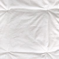 1858 Шелковое одеяло «SILK QUILT»