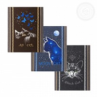 Набор полотенец из рогожки «Лунный кот»