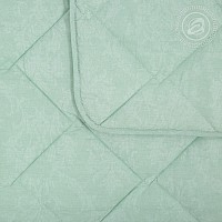 4953 Одеяло «Бамбук» облегченное (хлопок 100%)
